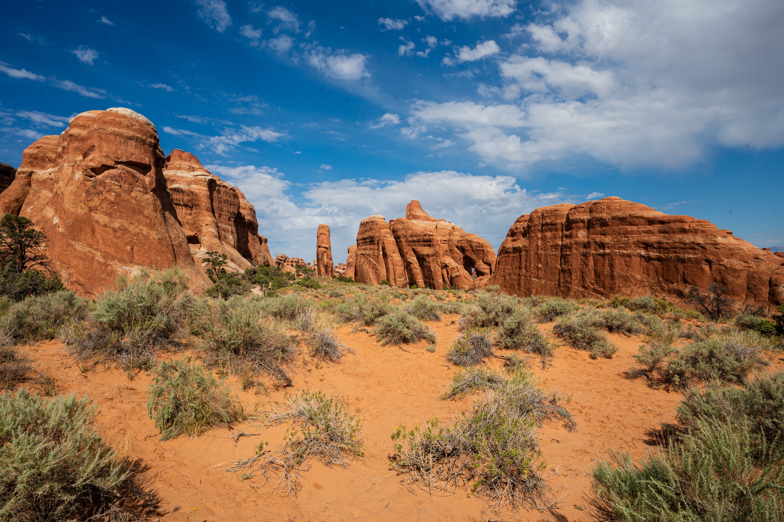 USA 2024 5 Sterne 114